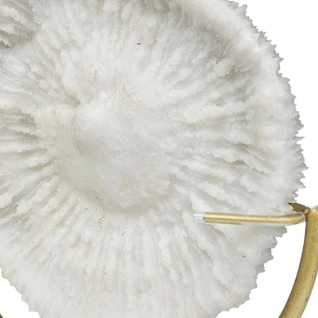 15" Gold and White Metal and Resin Sand Dollar Tabletop Sculpture