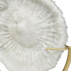 15" Gold and White Metal and Resin Sand Dollar Tabletop Sculpture