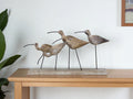 13" Natural Metal And Wood Coastal Sand Plover Birds Tabletop Sculpture