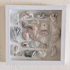 Coastal Shell Shadow Box Wall Art – Original by Dani Prado