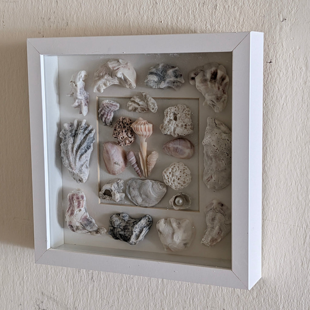 Coastal Shell Shadow Box Wall Art – Original by Dani Prado