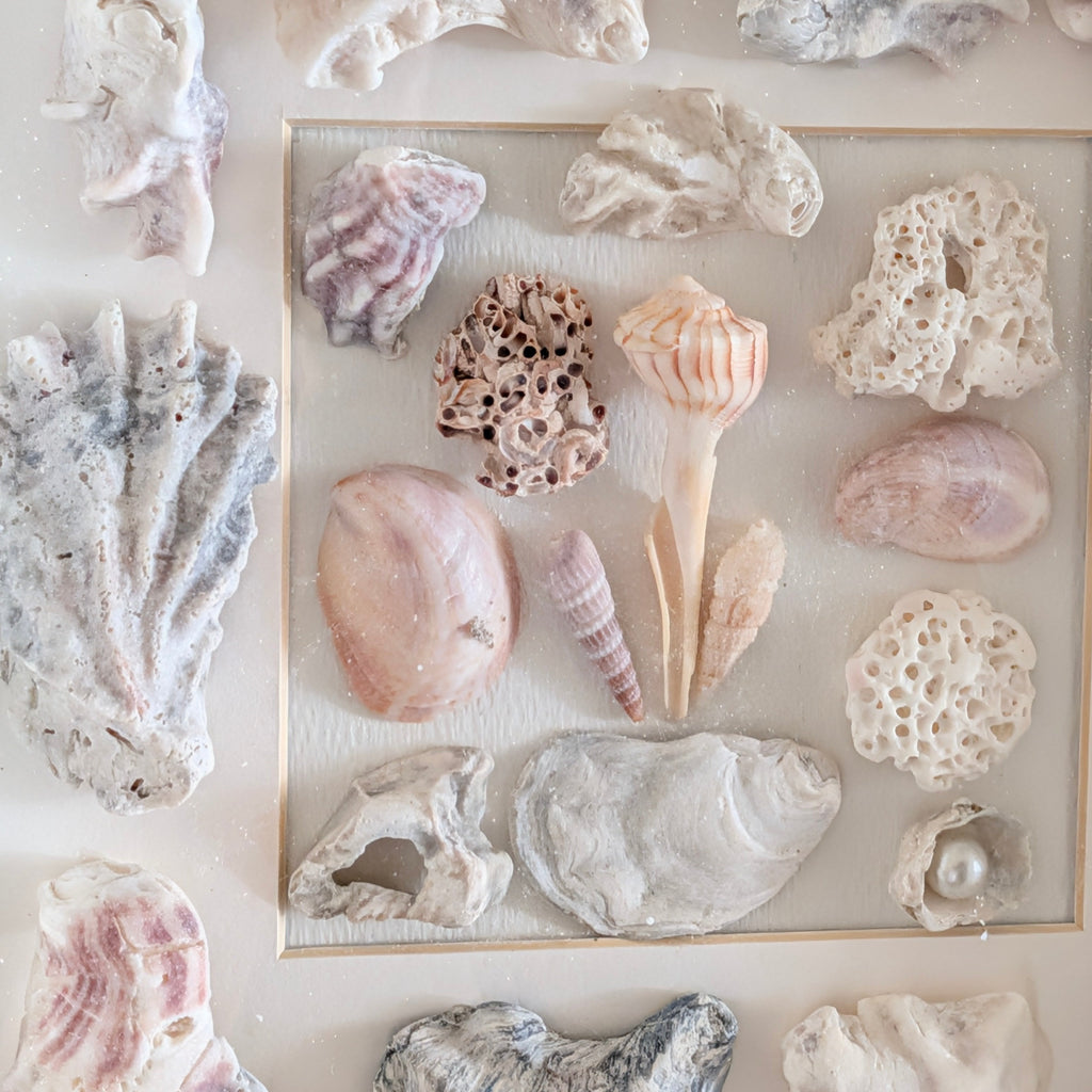 Coastal Shell Shadow Box Wall Art – Original by Dani Prado