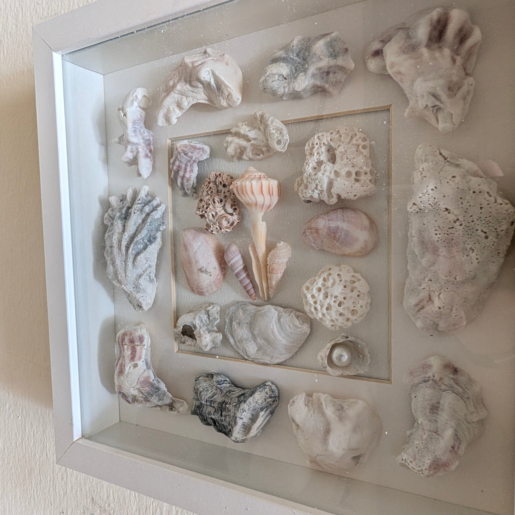 Coastal Shell Shadow Box Wall Art – Original by Dani Prado