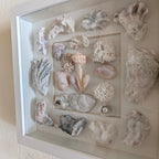 Coastal Shell Shadow Box Wall Art – Original by Dani Prado