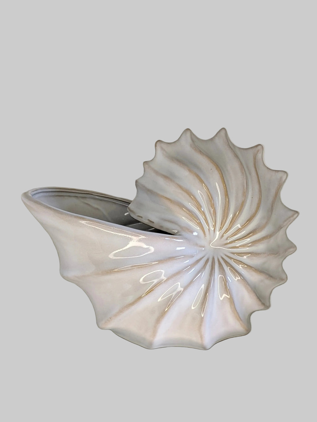Pearl White Nautilus Shell Bowl