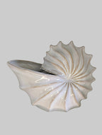 Pearl White Nautilus Shell Bowl