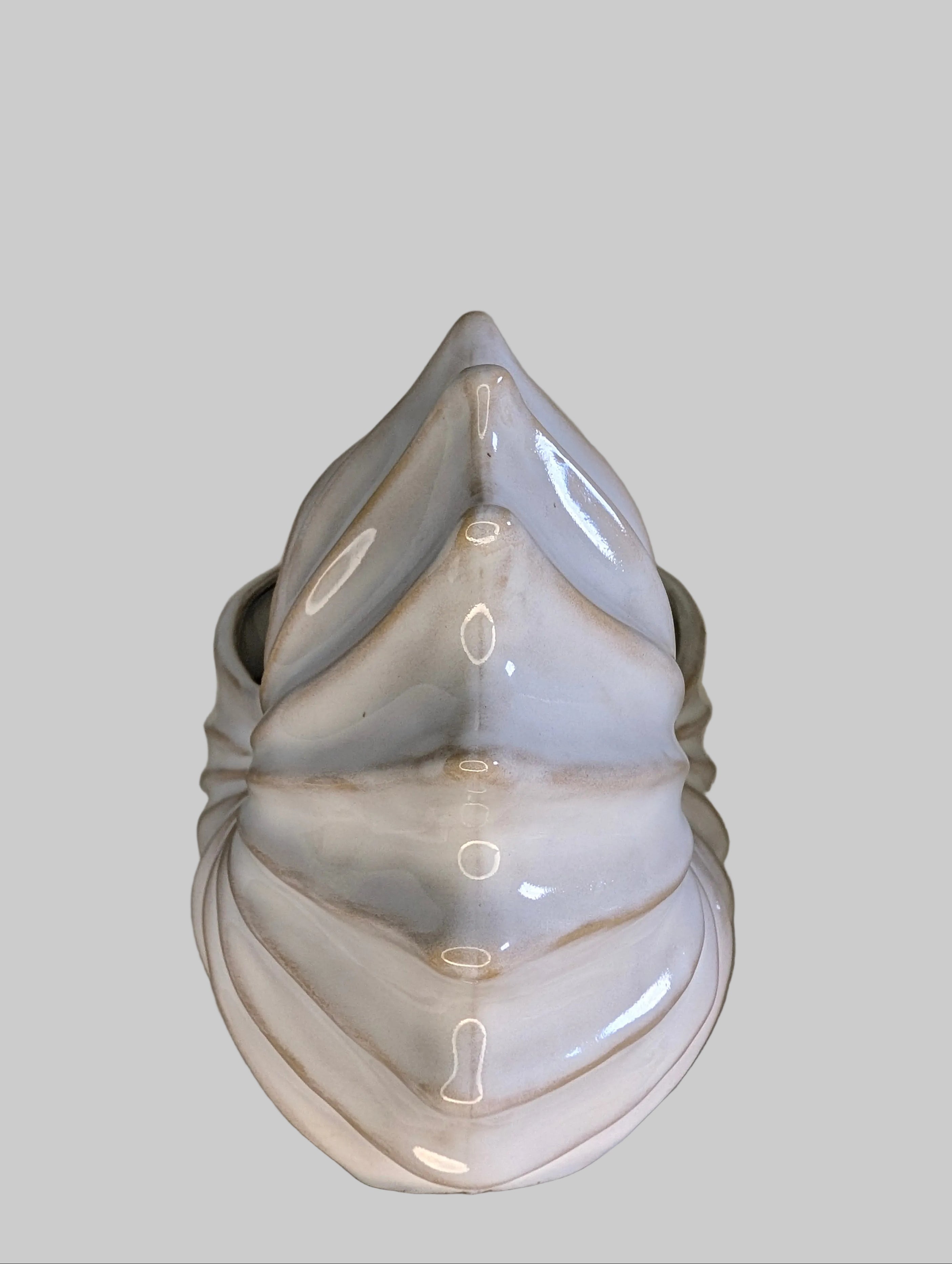 Pearl White Nautilus Shell Bowl