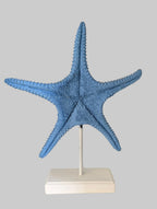 Blue starfish on a stand against a white background
